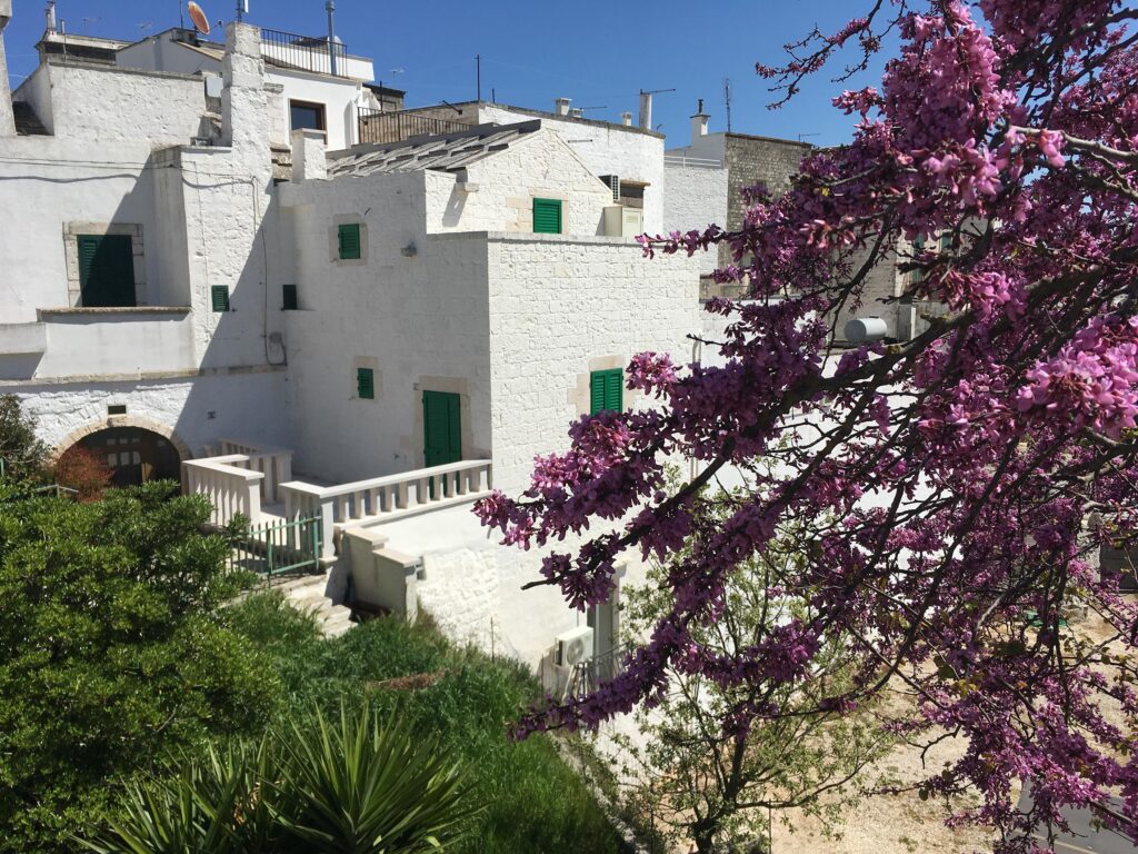 ostuni - experiencepuglia