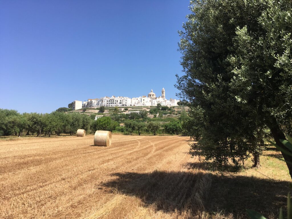 country - experiencepuglia