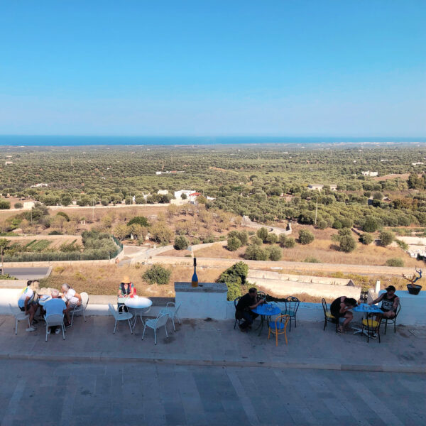 Puglia has some of the oldest olive trees in Italy