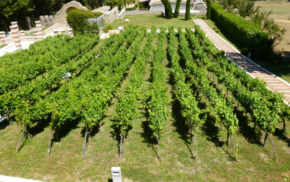 September is a special month for any winery